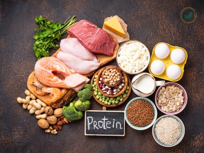 ideal protein weight loss